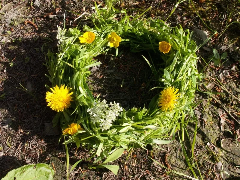 Lav en krans til håret af burresnerre. Foto: Malene Bendix. Hårkrans af burresnerre.
