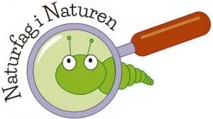 Naturfag i Naturen. Tegning: Eva Wulff. Ikon for Naturfag i Naturen.