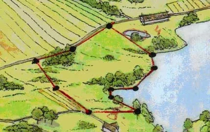 Lav et kort, som kan bruges til skovkort. Illustration: Søren Rask Jessen. Kortlæg et landskab.