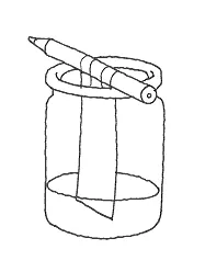 Træk bladenes farver ud. Kromatografi med kaffefilter. Tegning: Eva Wulff. Undersøg bladenes farver. Tegning: Eva Wulff.