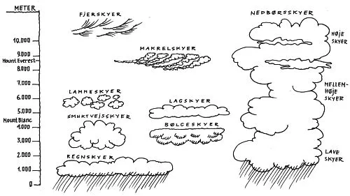 Skema over forskellige skyer.