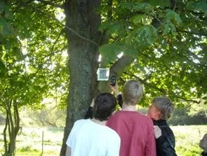 Smartphones kan bruges til opgaveløb i skoven. Foto: Tommy M. Rasmussen. Børn der scanner QR-koder på et træ