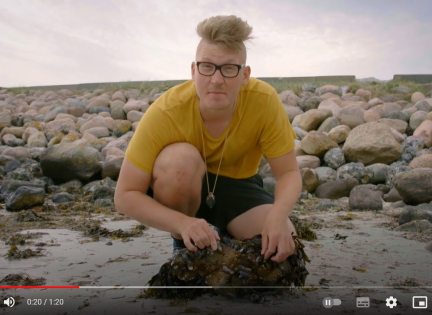 99 arter at se før du bliver voksen: BLÅMUSLING