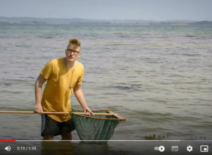 99 arter at se før du bliver voksen HESTEREJE