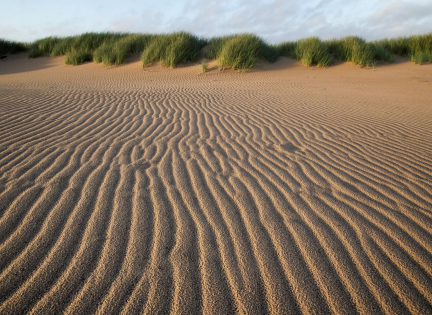 Bliv klogere på sand ved Lodbjerg. Foto: Nationalpark Thy.