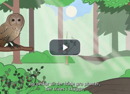 Foto fra filmen, der fortæller om biodiversitet i skoven