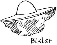 Bihat med slør