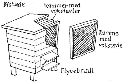Bistade. Tegning: Eva Wulff.