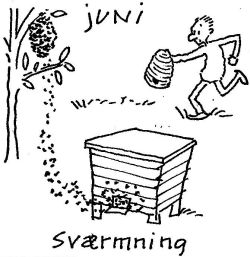 Bier der sværmer