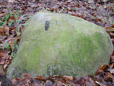 Rævelort