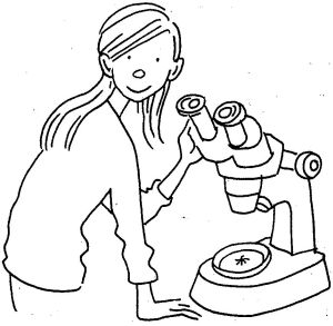 Kig på larver og varroa-mider i stereolup