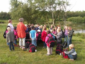 Samling