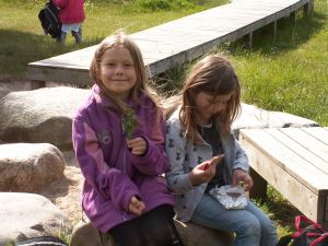 Madpakker og blomster