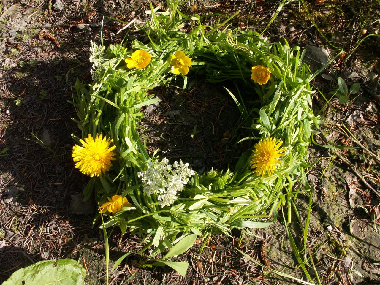 Lav en krans til håret af burresnerre. Foto: Malene Bendix. Hårkrans af burresnerre.