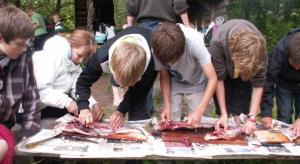 fisk_joakim-nikoline-lucas-william-hans-lasse_27-05-2011_udsnit_0.jpg