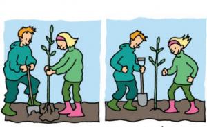 Plant et træ.