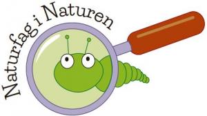 Naturfag i Naturen. Tegning: Eva Wulff. Ikon for Naturfag i Naturen.