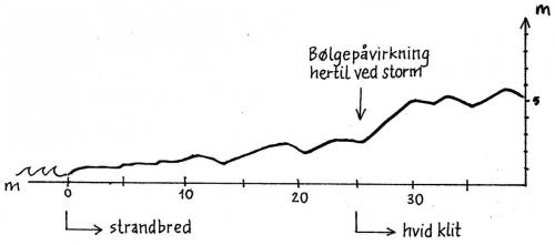 strand-tvaerprofil-1967_0.jpg