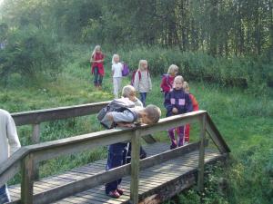 Lav drømmespor i naturen. Foto: Frank Juel. Hammerum skole. Drømmespor.