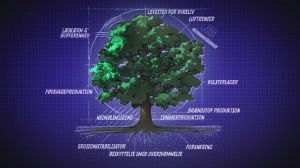 Et træ, en illustration fra filmen "A convenient truth"