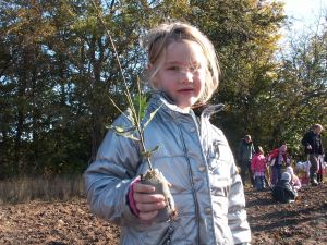 Pige vil plante et lille egetræ. Foto: Malene Bendix. Følg et træ fra frø til fuglekasse. Foto: Malene Bendix.