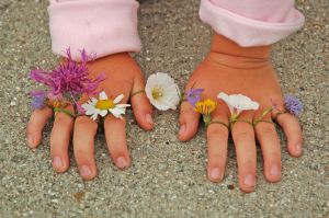 Midt på sommeren er der masser af blomster - og blomsterringe til alle som har lyst. Karoline her har hænderne fulde af strandengens blomster: knopurt, blåmunke, kongepen, kamille, snerle og måske cikorie. Foto: Jørn Kildal.