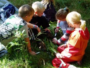 Septembers himmel er så blå - og lyset er helt specielt. Her undersøger udeskolebørn en roe. Foto: Frank Juel, udeskolelærer på Hammerum skole. Septembers himmel er så blå - og lyset er helt specielt. Her undersøger udeskolebørn en roe. Foto: Frank Juel, udeskolelærer på Hammerum skole.