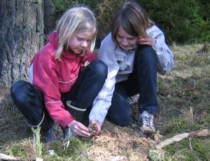 Børn løser matematikopgaver i skoven. Foto Niels Tonsberg.