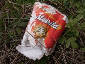 Kaffekrus i naturen