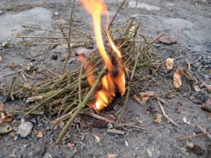 Birkebark og kviste flammer op.