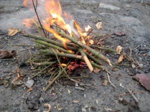 Pinde flammer op