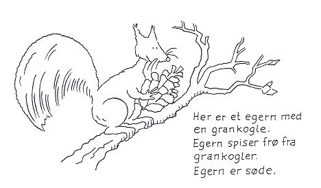 Den store dyrebog.Tegning: Eva Wulff Lav en bog om dyr.Tegning: Eva Wulff