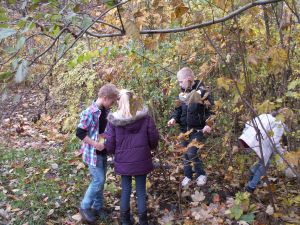 Skoleelever på jagt efter blade i skovbunden.