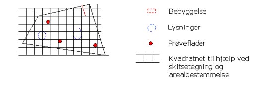 Tynd ud og regn. Tynd ud i en ung bevoksning.