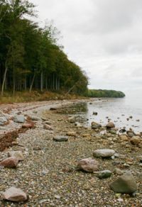 Drømmestrand