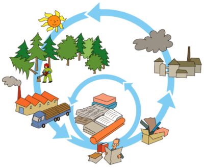 Papir er lavet af træ. Det kan genbruges. Her kan du se papirets cyklus.