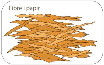 Fibre i papir