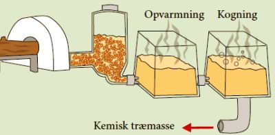 Kemisk træmasse - produktion