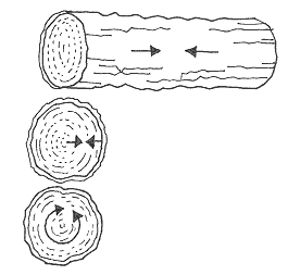 her har vi illustreret hvordan træet svinder på de forskellige leder og kanter