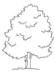 Tegning af et takstræ.