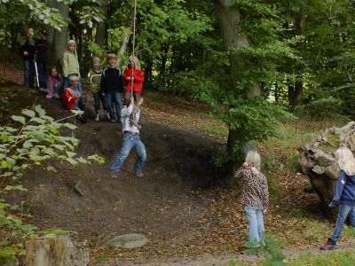 En skoleskov er et lille skovområde, som en skole får lov at låne af en offentlig eller privat skovejer. Foto: Stinne Krarup Nielsen, udeskolelærer på Bybækskolen. En skoleskov. Foto: Stinne Krarup Nielsen, udeskolelærer på Bybækskolen.