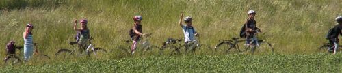 børn på cykeltur i naturen