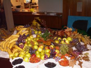 Frugt