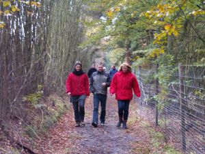 Walk & talk