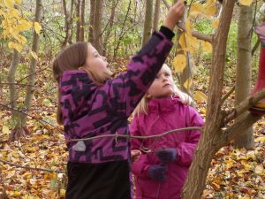 Cecilie og Anne Sofie hjælper Cecilie i træet