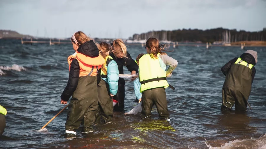 Bliv Skjoldunge fjordens liv og stenrev. Foto: INSP Media