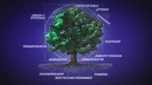 Et træ, en illustration fra filmen "A convenient truth"