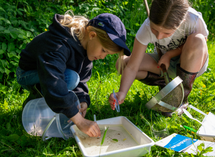 Bliv Skjoldunge-piger fra Osted Friskole undersøger vandløbets liv og kræfter. Foto: INSP Media.
