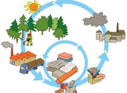 Papir er lavet af træ. Det kan genbruges. Her kan du se papirets cyklus.
