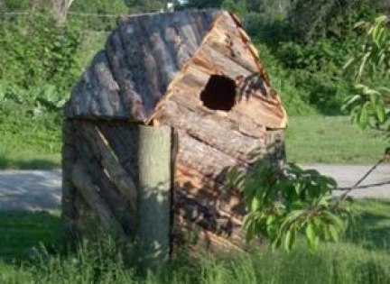 Et lille hus bygget af skoller